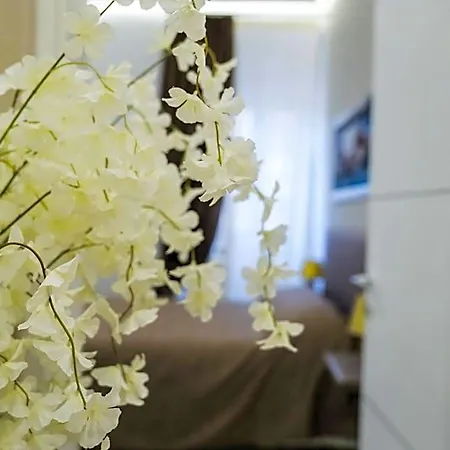 Conte Cavour فندق مبيت وإفطار 3*